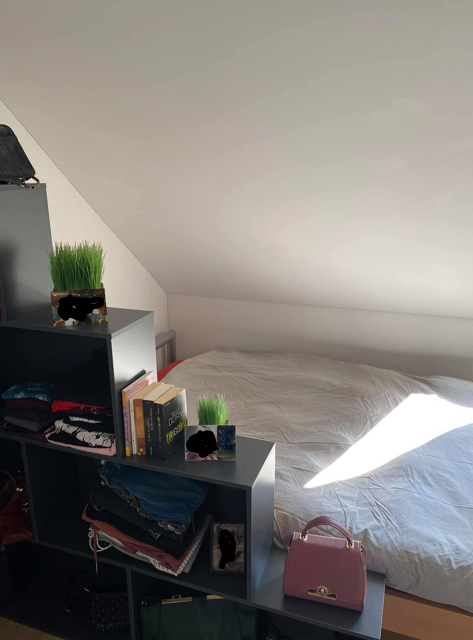 Chambre dans une colocation, photo 5 sur 6
