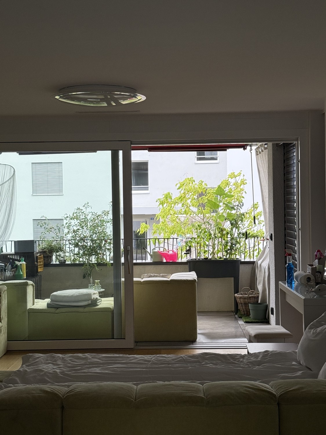 Chambre dans une colocation