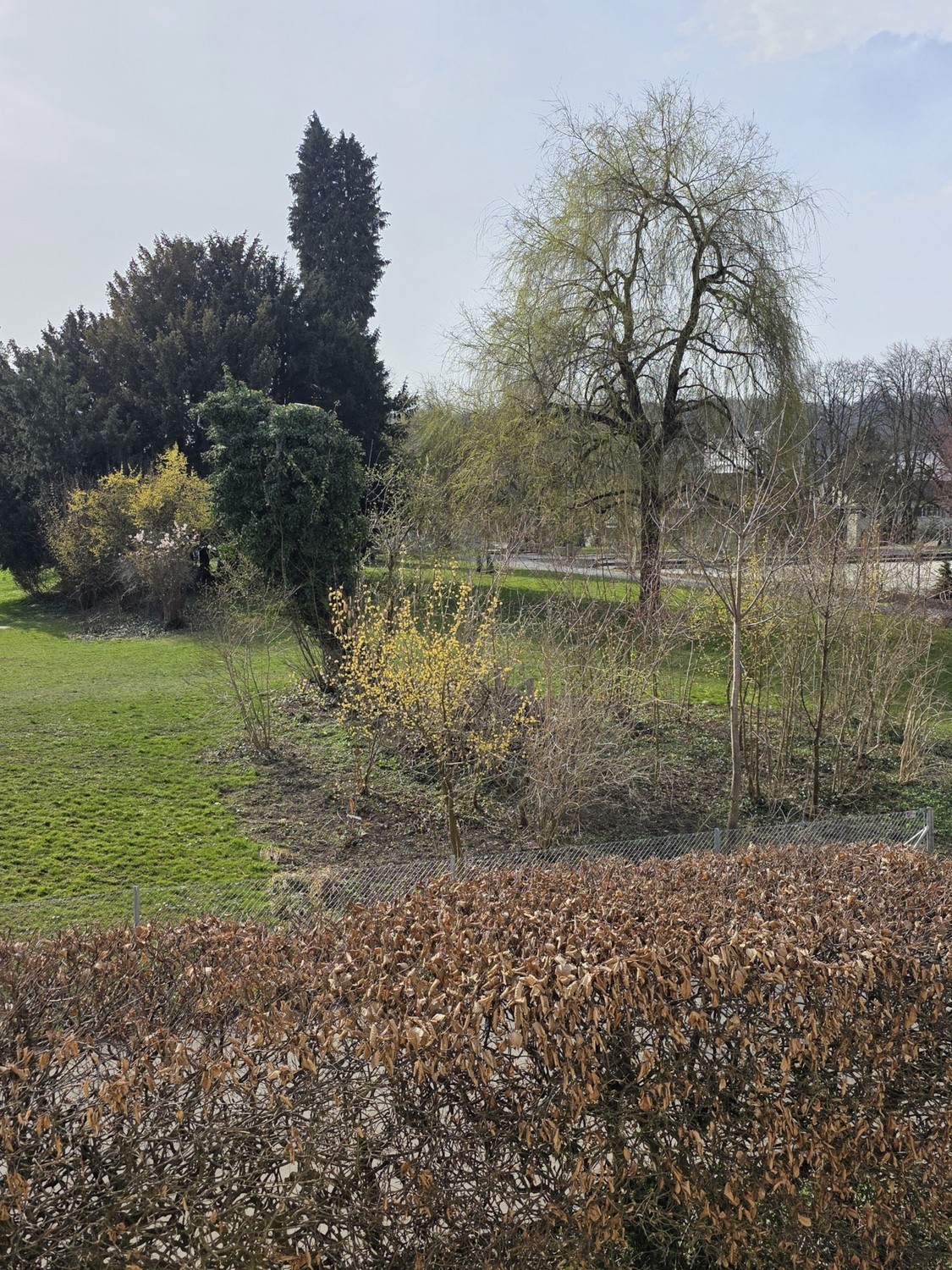 Appartement de 3 ½ pièces, photo 8 sur 8