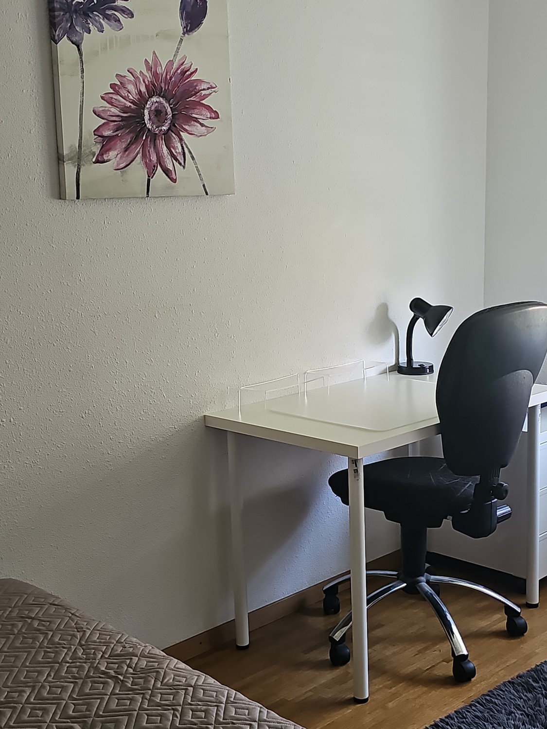 Room in a shared flat, photo 4 sur 8