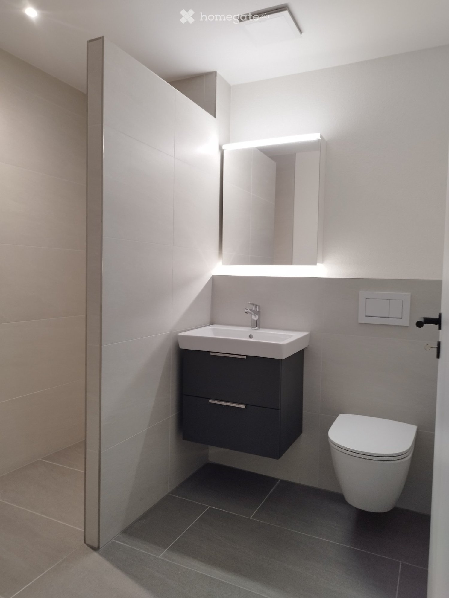 6 ½ rooms apartment