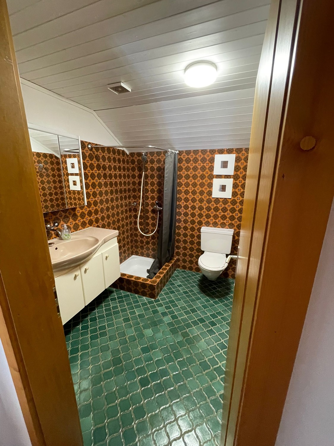 Appartement de 3 ½ pièces