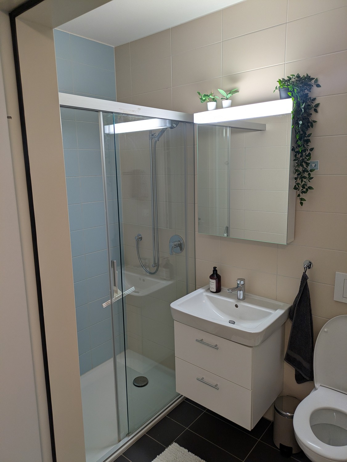 Appartement de 3 ½ pièces