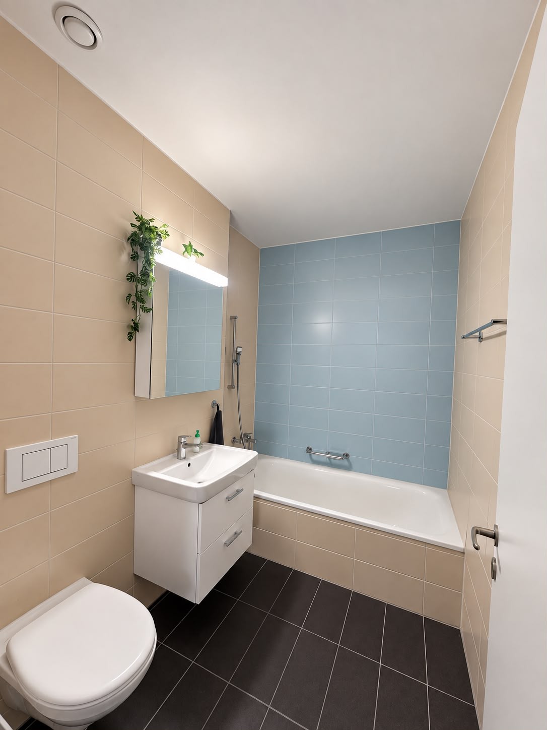 Appartement de 3 ½ pièces