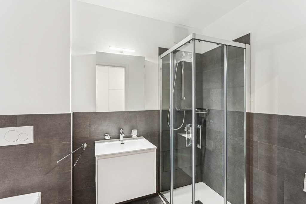 1 ½ pièces appartement, photo 3 sur 3