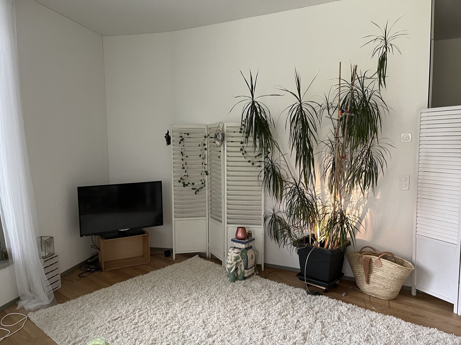Appartement meublé de 2 pièces