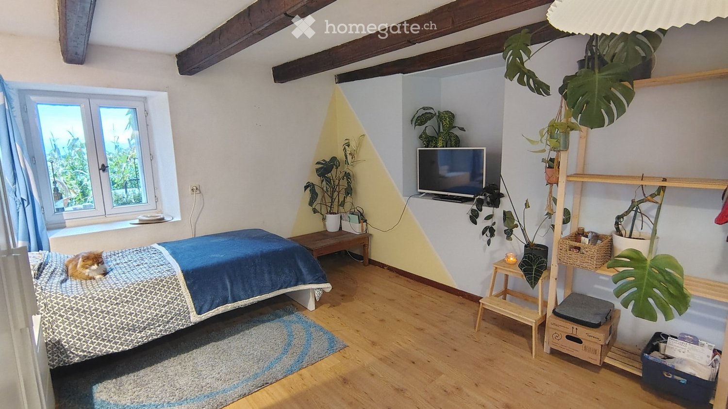 1 room single room