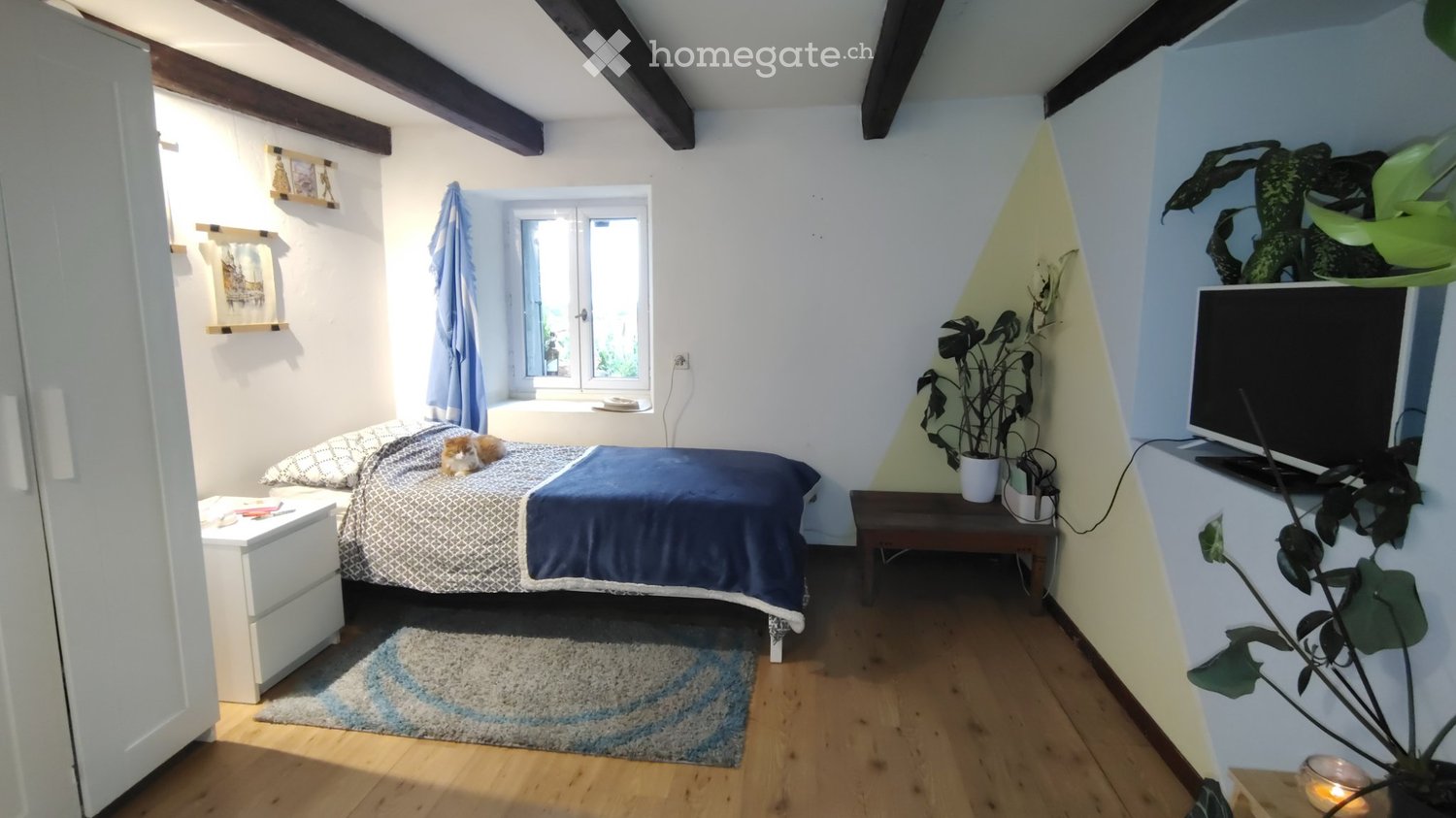 1 room single room
