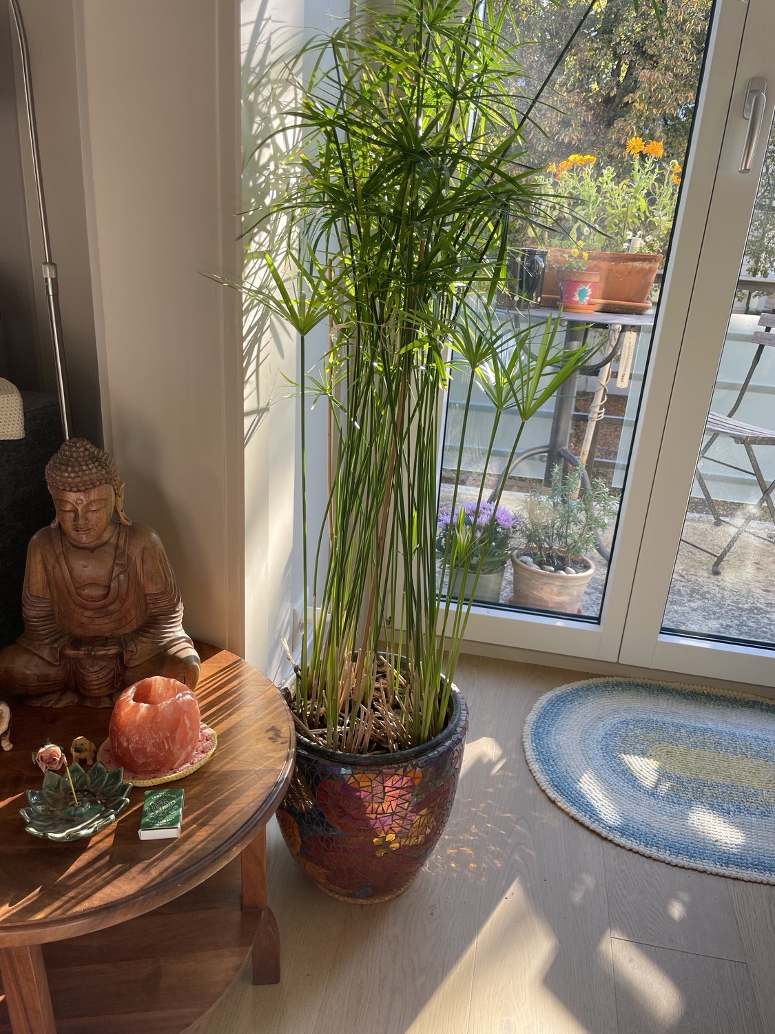 Chambre dans un appartement partagé, photo 1 sur 5