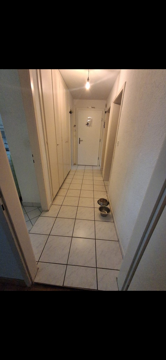 Appartement de 3 ½ pièces