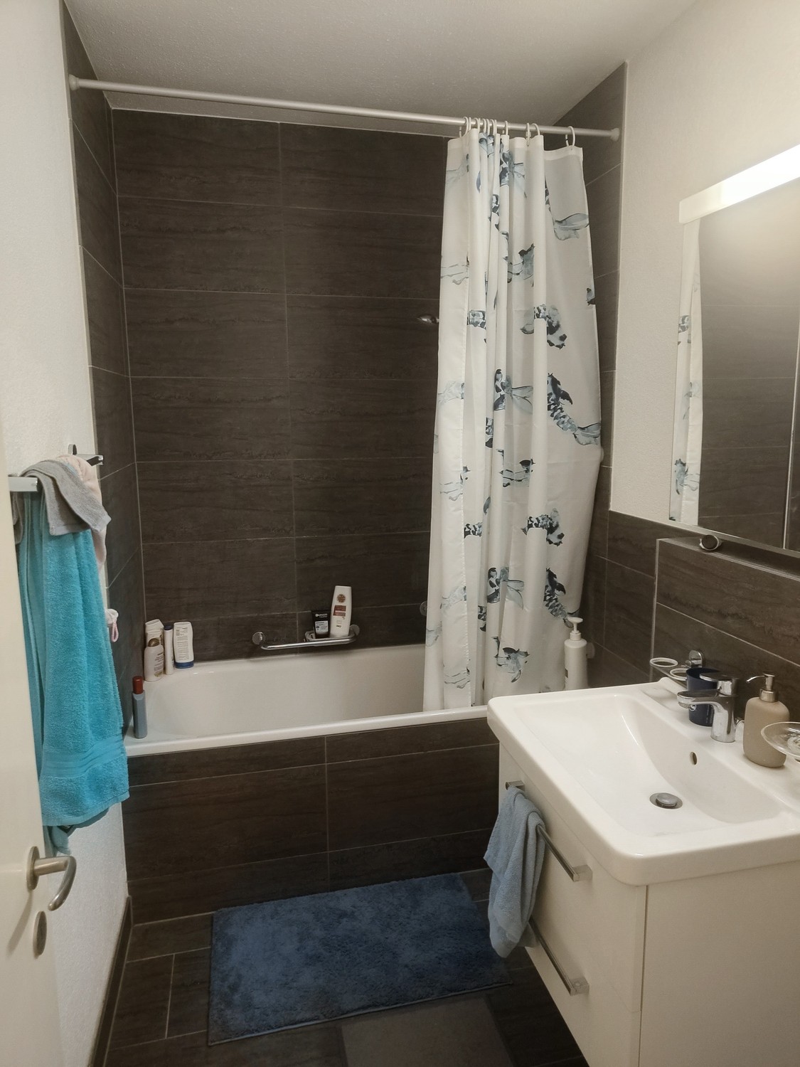 Appartement de 2 ½ pièces, photo 7 sur 10