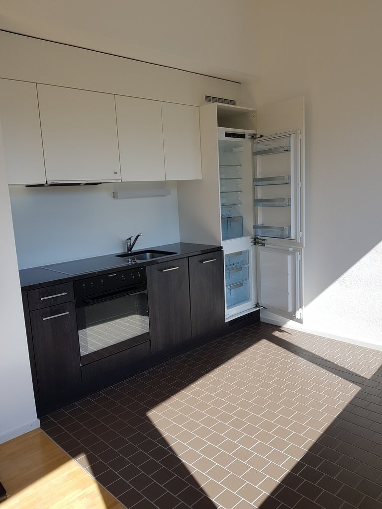 3 ½ rooms apartment, photo 3 sur 5