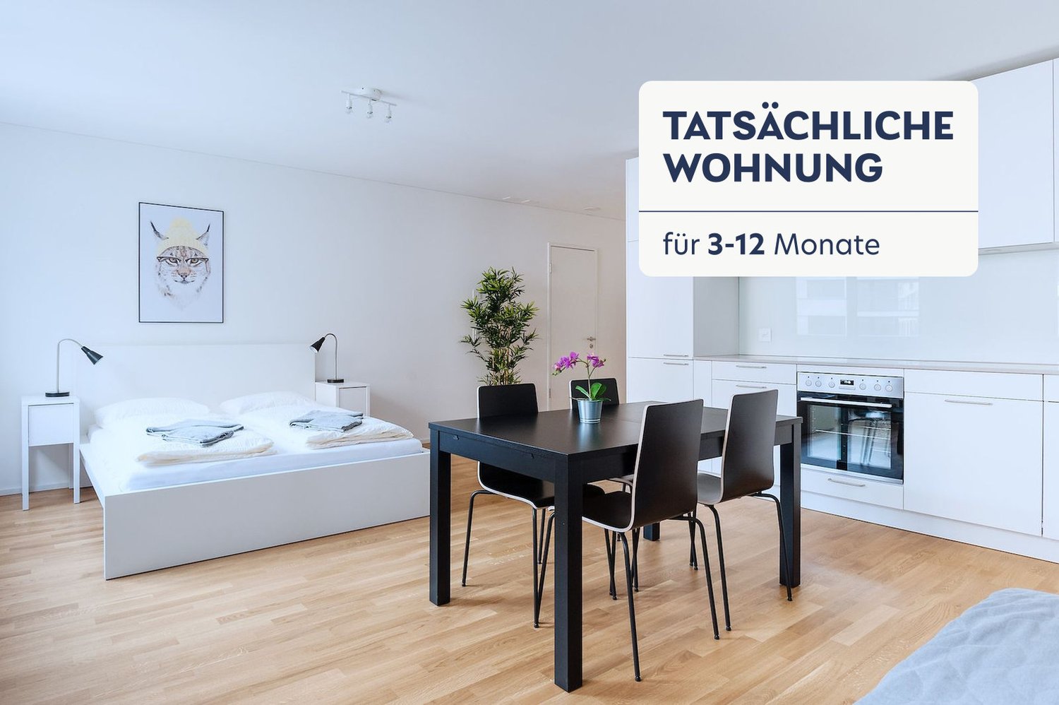 appartement meublé de 1 pièce, photo 1 sur 10
