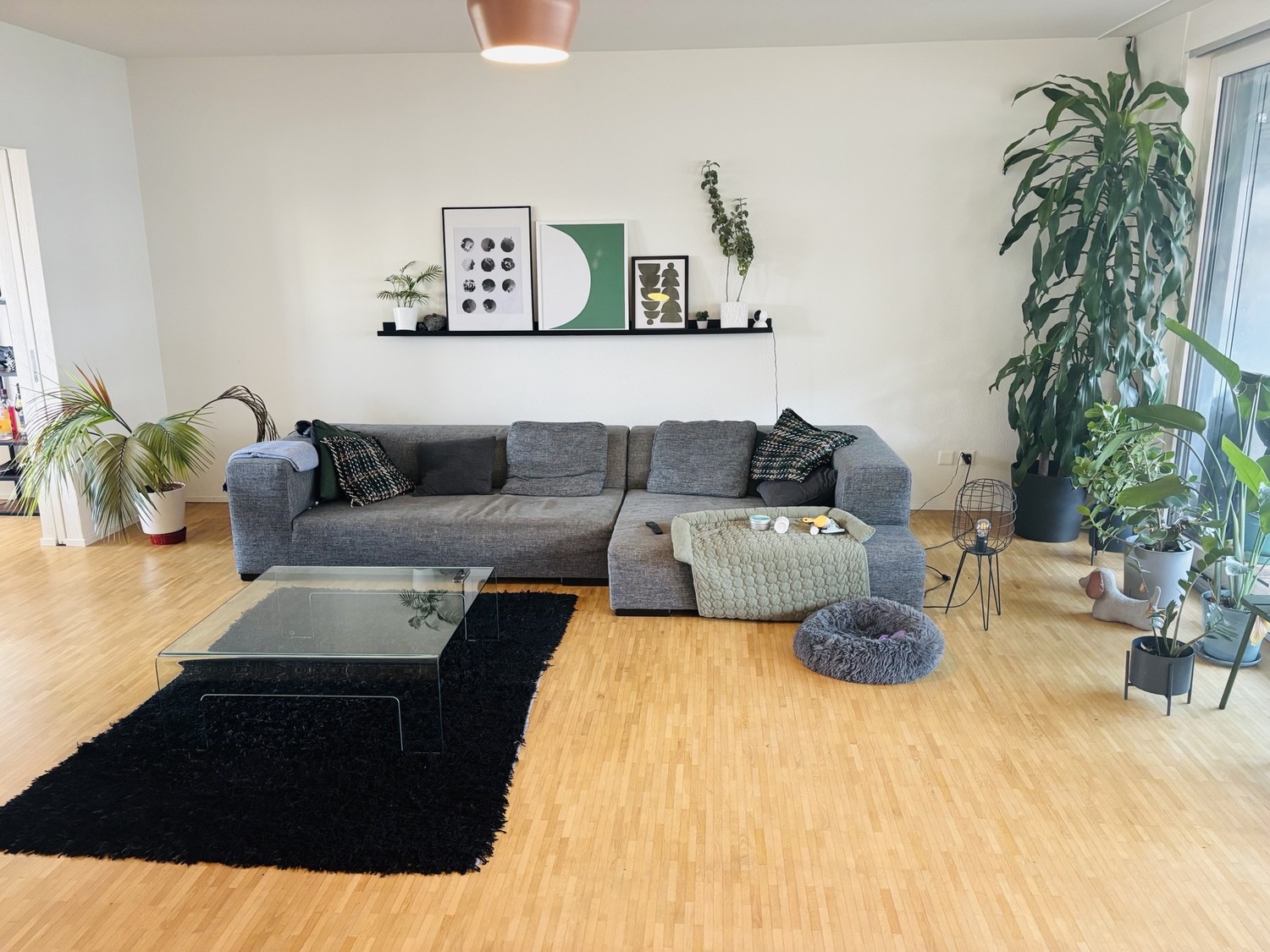 Chambre en colocation