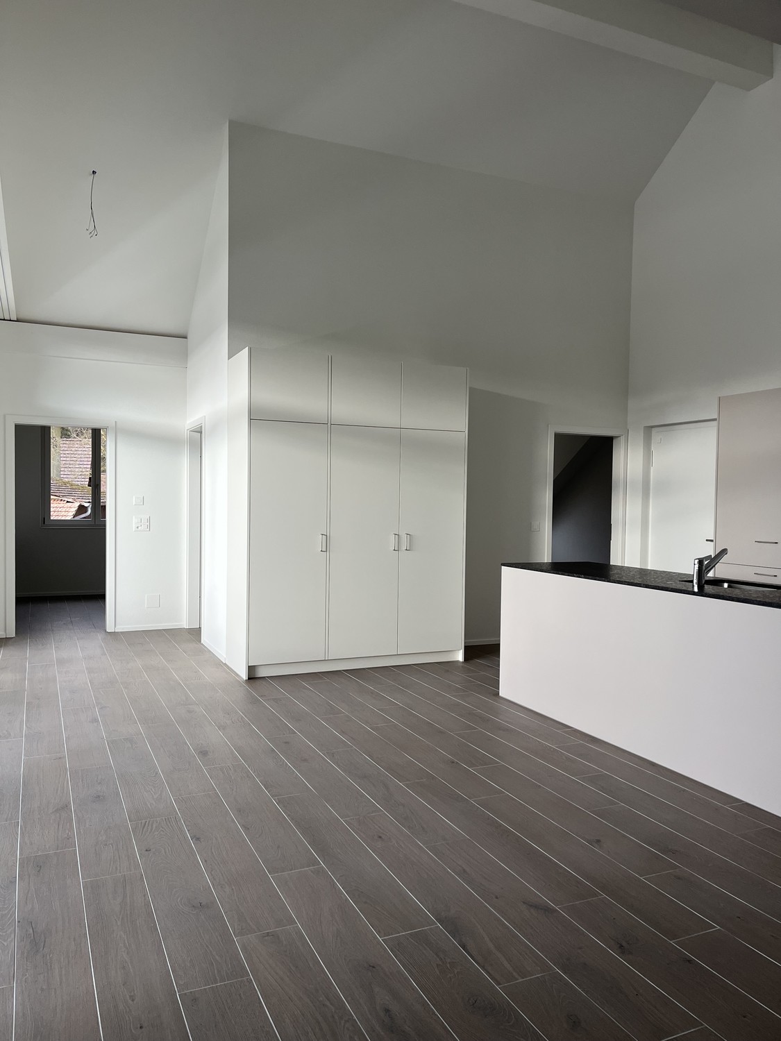 Appartement de 3 ½ pièces