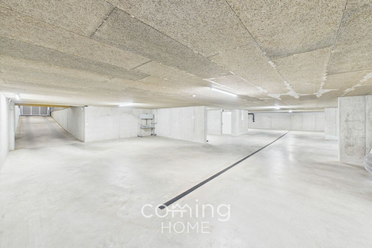 455m² d'espace ouvert, photo 6 sur 10