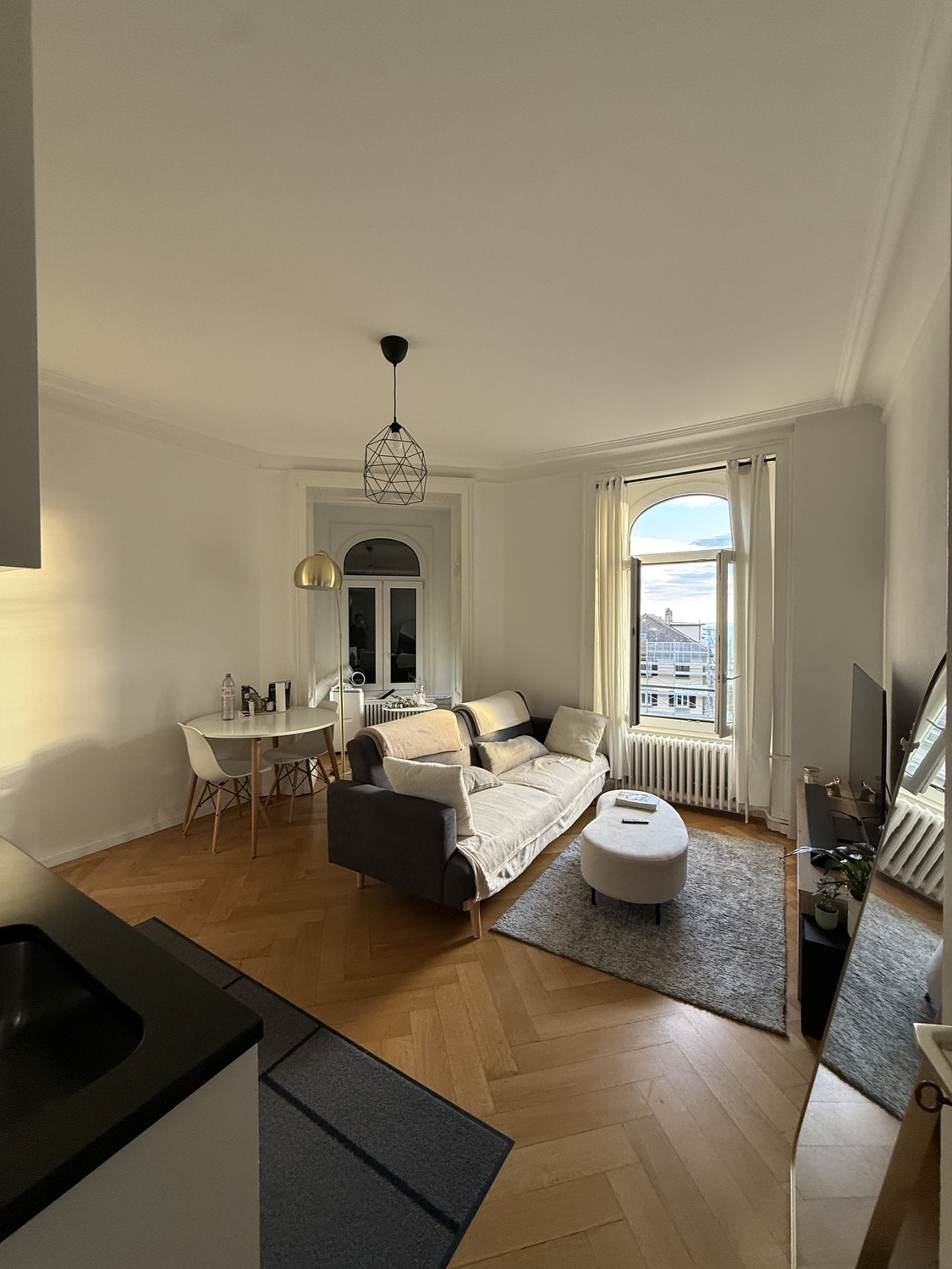 3 ½ rooms apartment, photo 2 sur 7