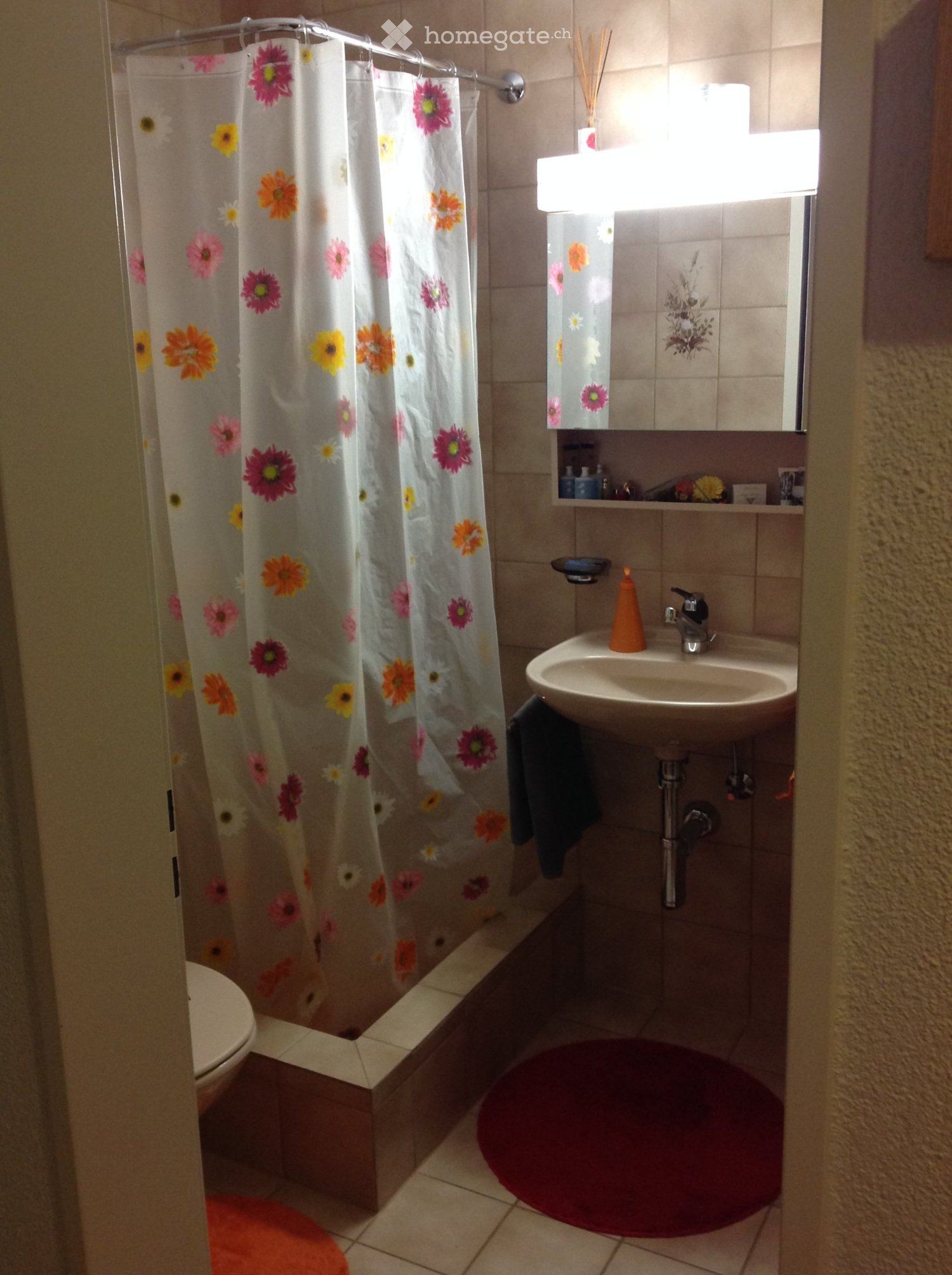 Appartement de 3 ½ pièces