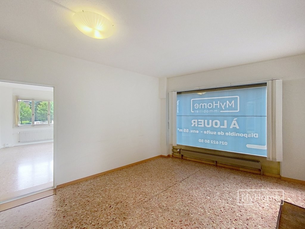 43m² display window