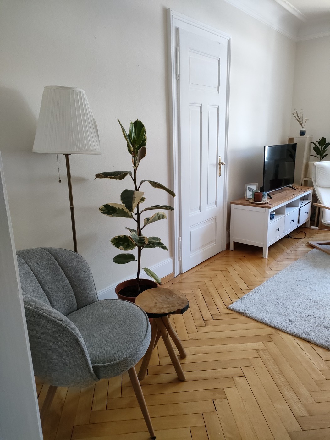 Room in a shared flat