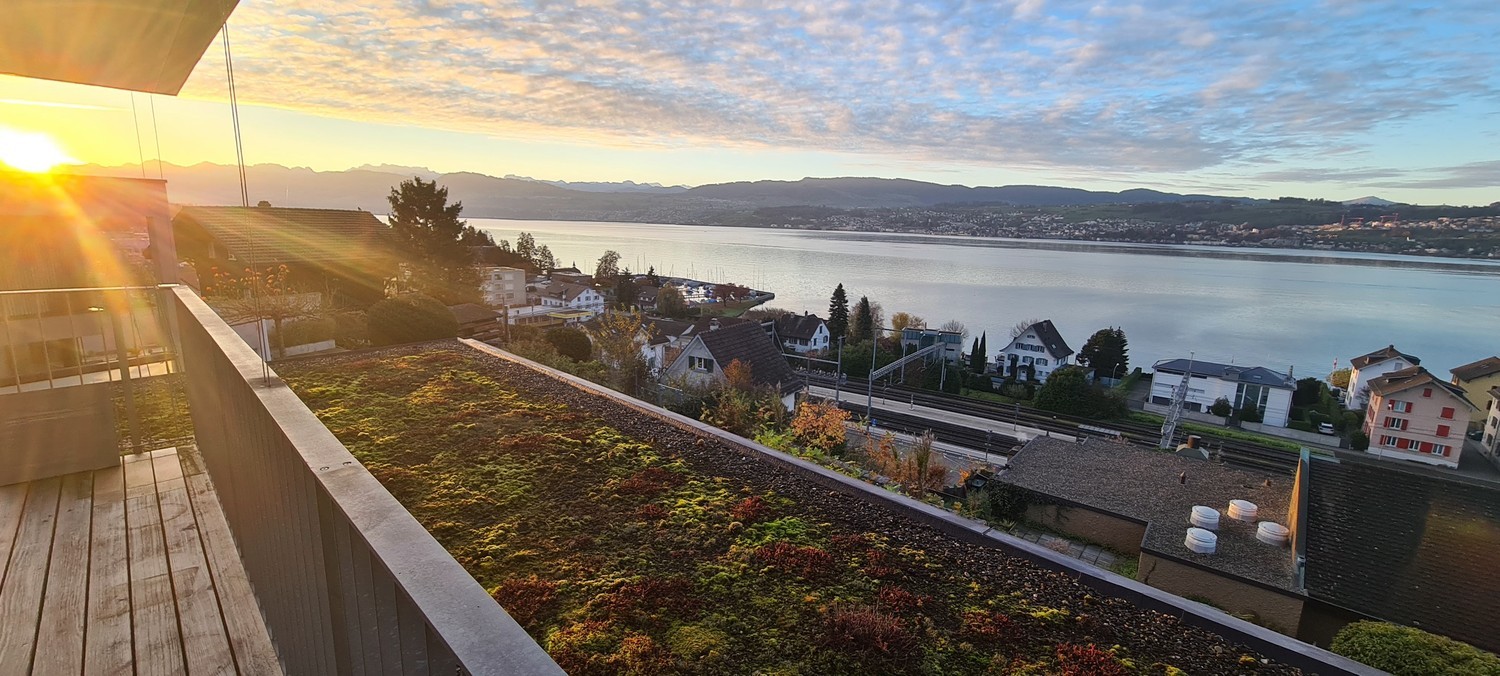 Maison individuelle de 6 ½ pièces

La maison à Männedorf se situe dans un quartier résidentiel privilégié sur la rive droite du lac de Zurich, nichée entre le lac et le Pfannenstiel. La propriété est située dans une rue privée calme sans trafic de passage et bénéficie de sa position surélevée avec u, photo 2 sur 10