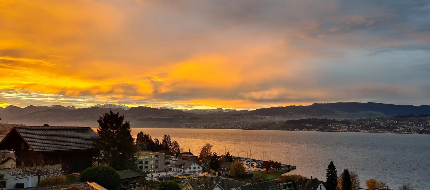 Maison individuelle de 6 ½ pièces

La maison à Männedorf se situe dans un quartier résidentiel privilégié sur la rive droite du lac de Zurich, nichée entre le lac et le Pfannenstiel. La propriété est située dans une rue privée calme sans trafic de passage et bénéficie de sa position surélevée avec u, photo 3 sur 10