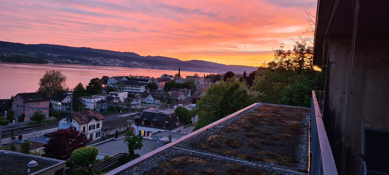 Maison individuelle de 6 ½ pièces

La maison à Männedorf se situe dans un quartier résidentiel privilégié sur la rive droite du lac de Zurich, nichée entre le lac et le Pfannenstiel. La propriété est située dans une rue privée calme sans trafic de passage et bénéficie de sa position surélevée avec u, photo 4 sur 10
