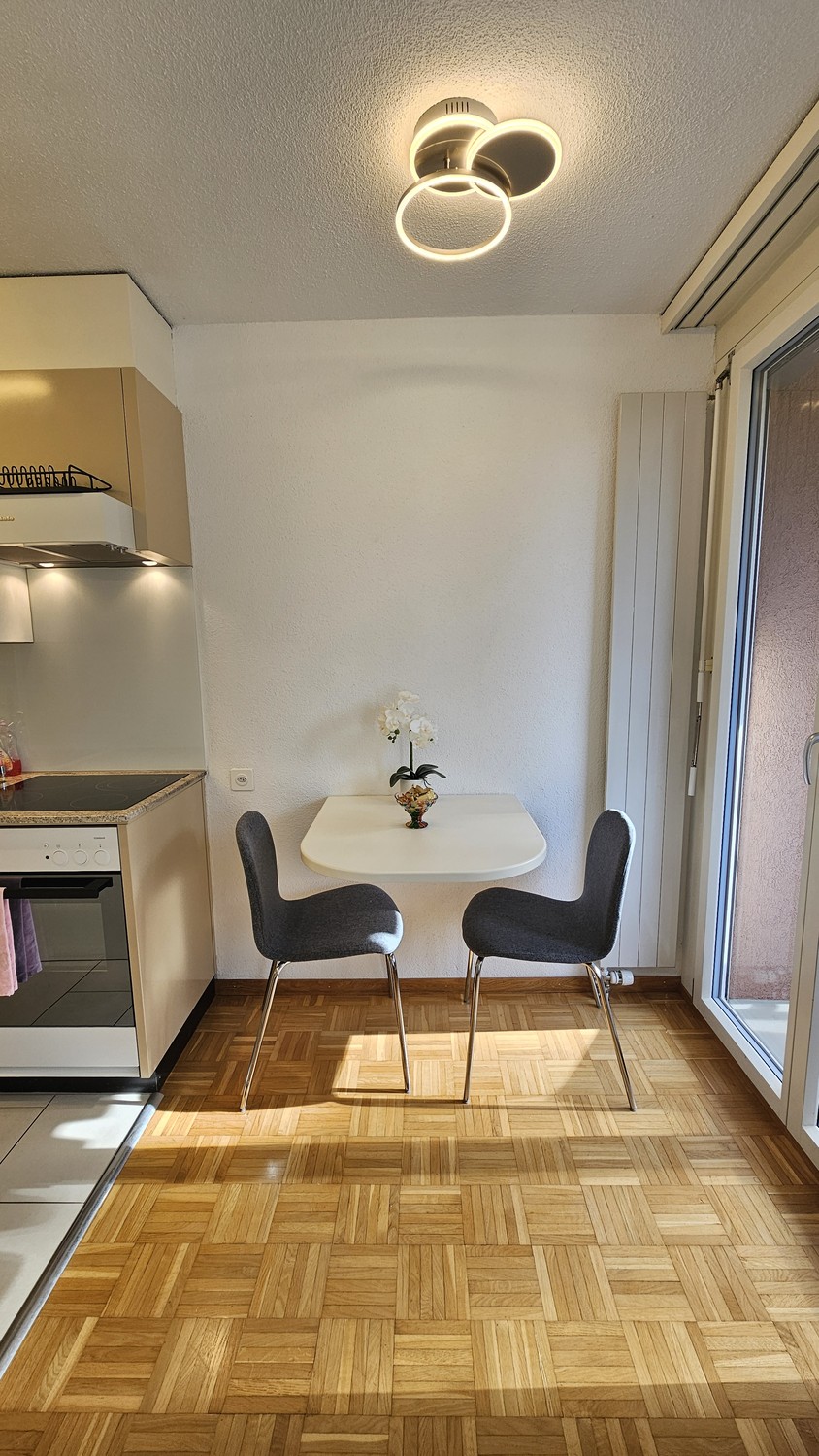 Appartement de 1 ½ pièce, photo 3 sur 10