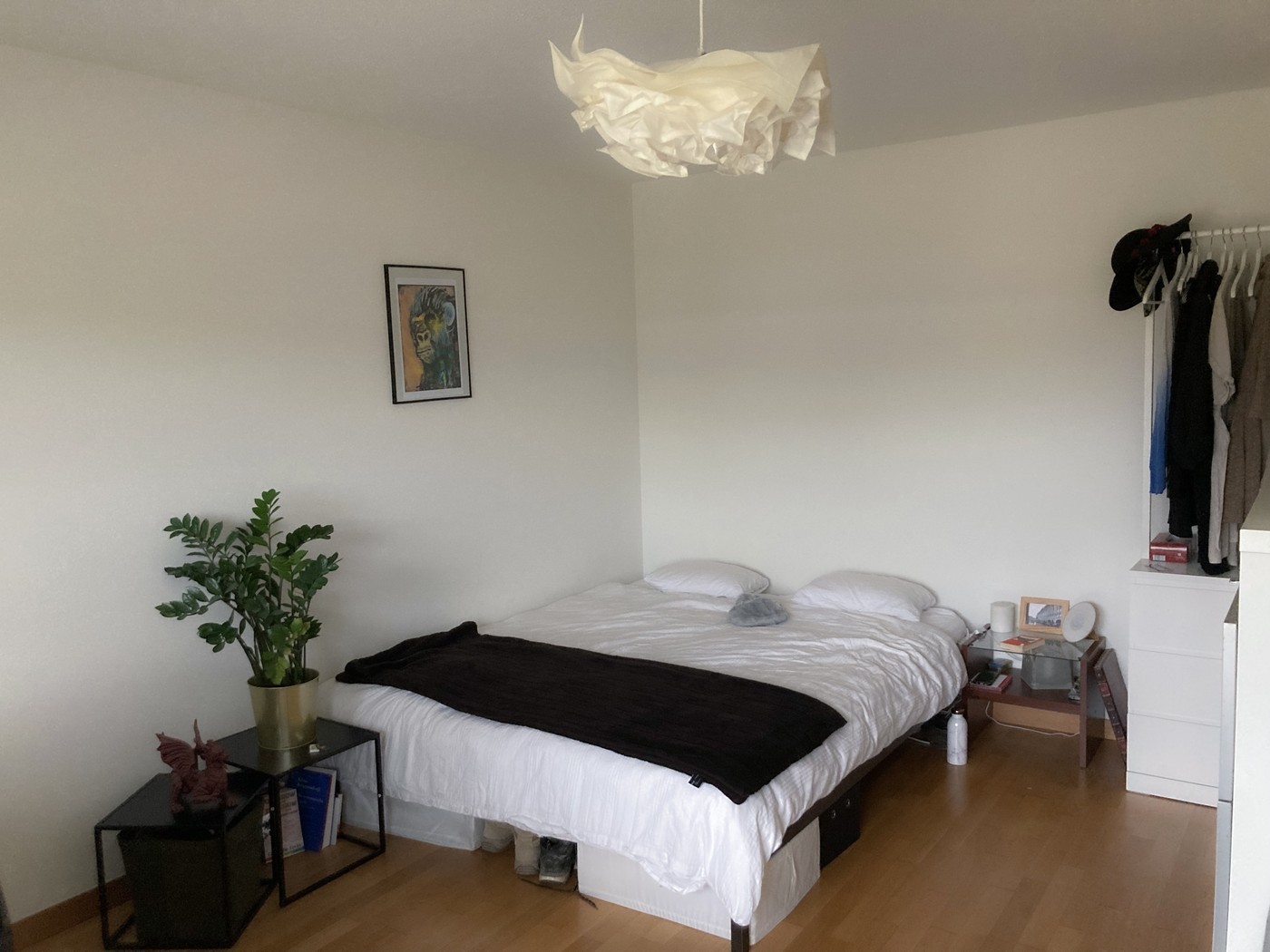 Chambre en colocation, photo 2 sur 10