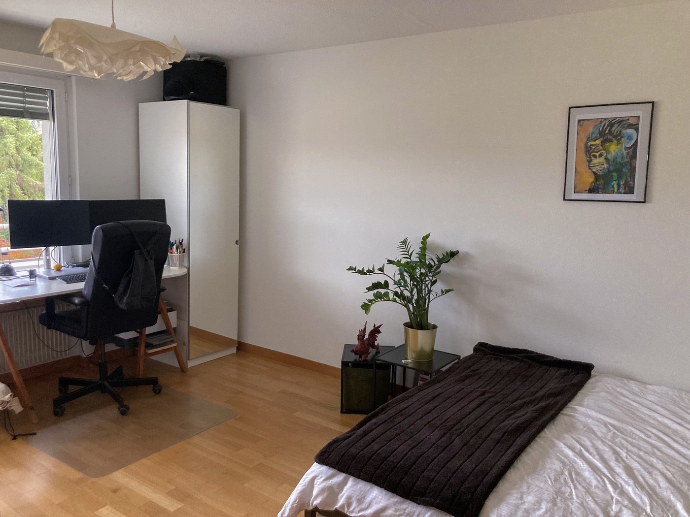 Chambre en colocation, photo 1 sur 10