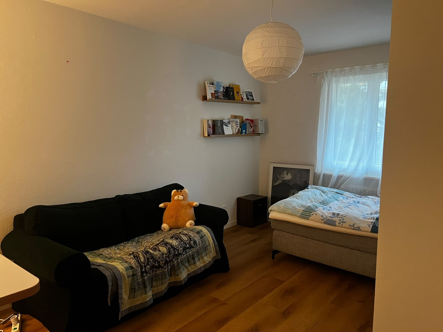 Chambre dans une colocation, photo 1 sur 7