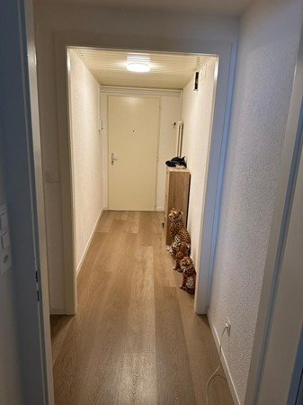 3 ½ rooms apartment, photo 3 sur 6