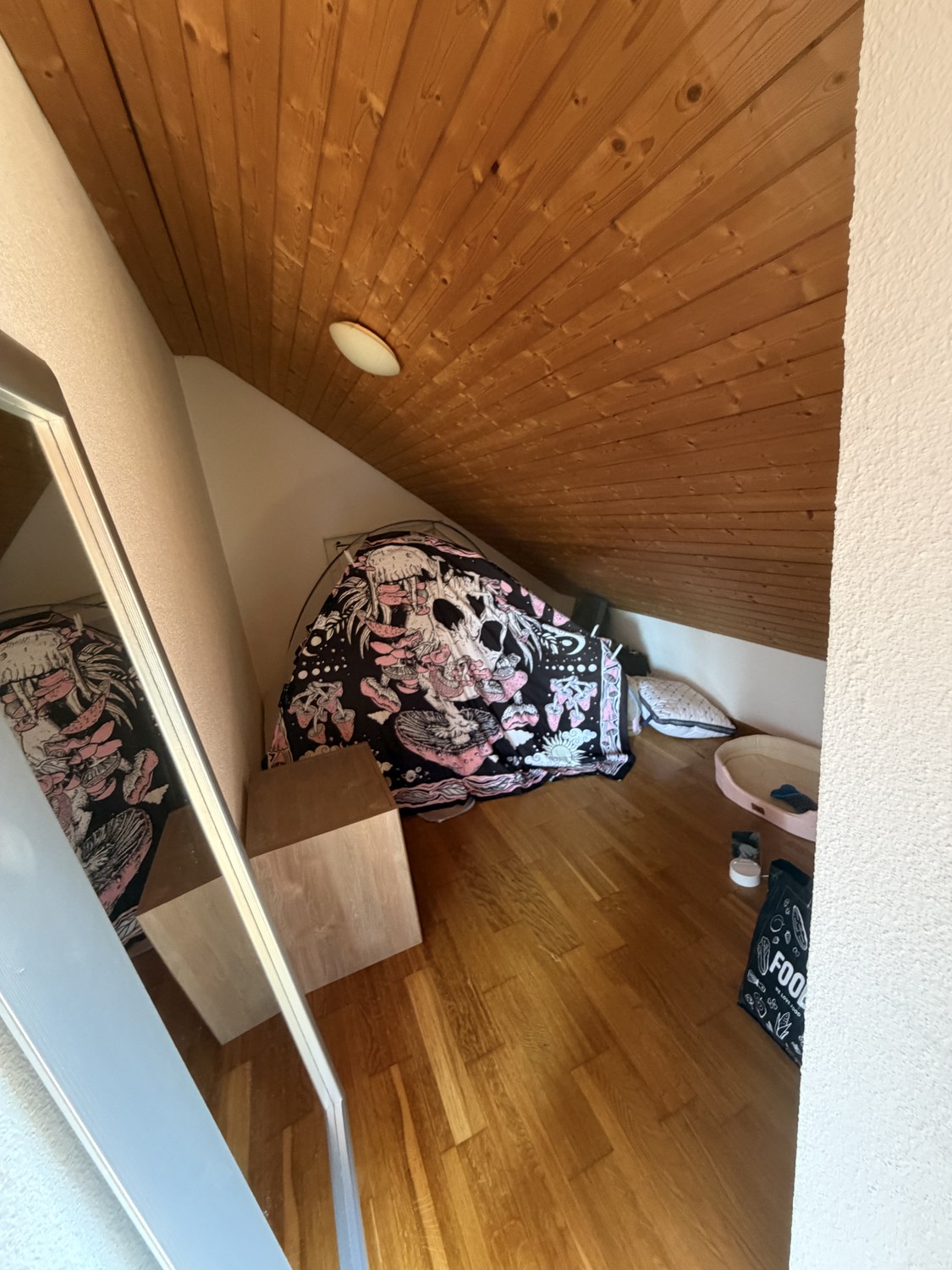 Appartement 1 ½ pièces
