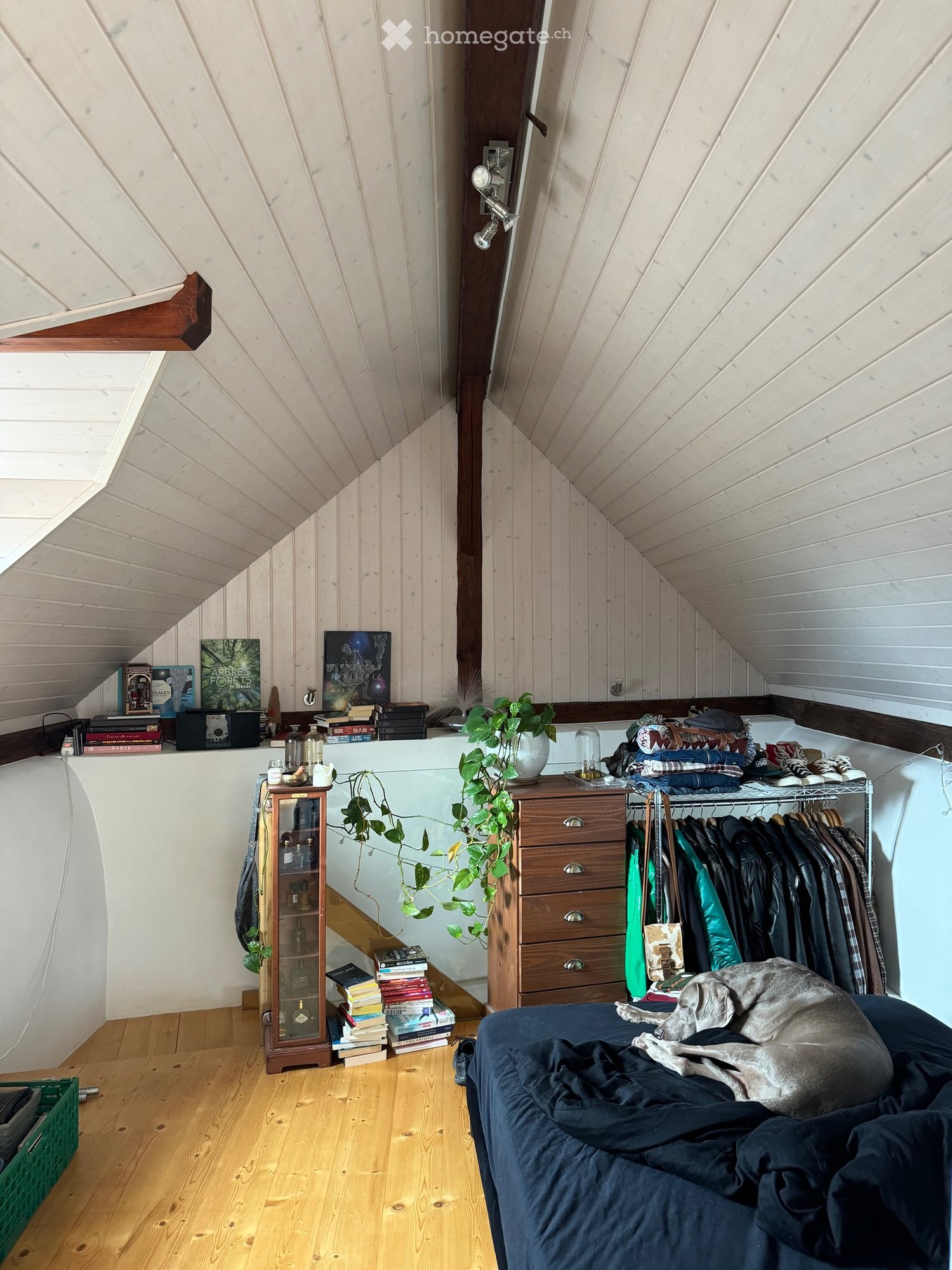 1 rooms apartment, photo 2 sur 5