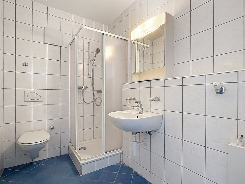 3 ½ rooms apartment, photo 3 sur 10