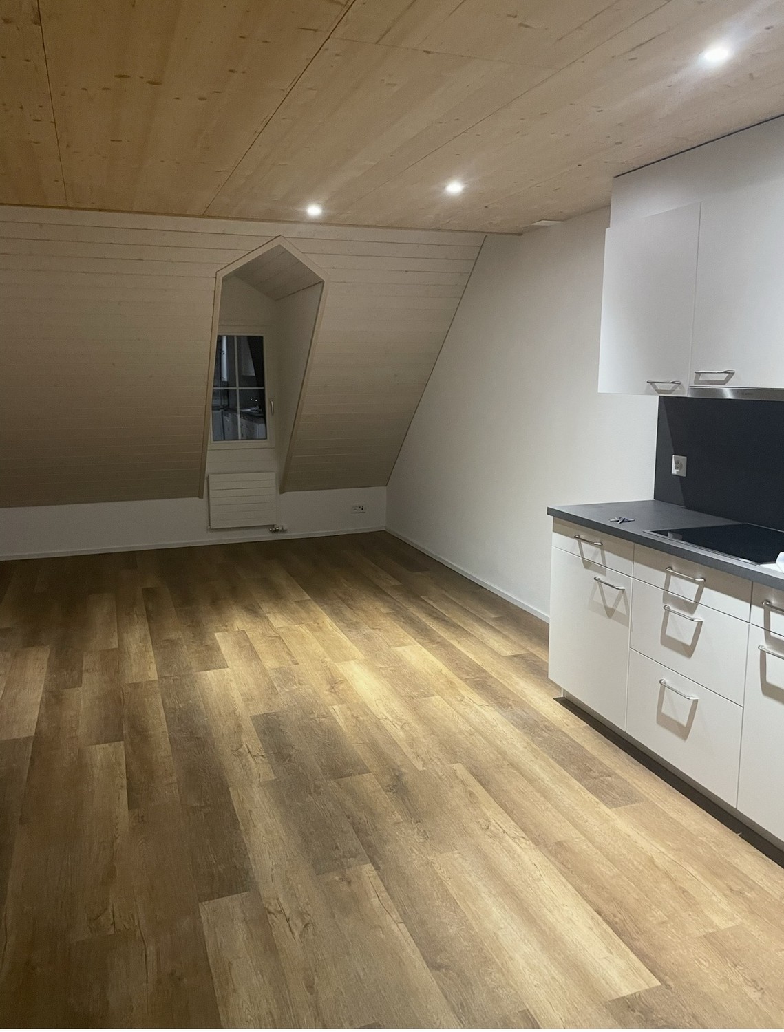 Recherche urgente de repreneur pour un magnifique appartement sous les combles.