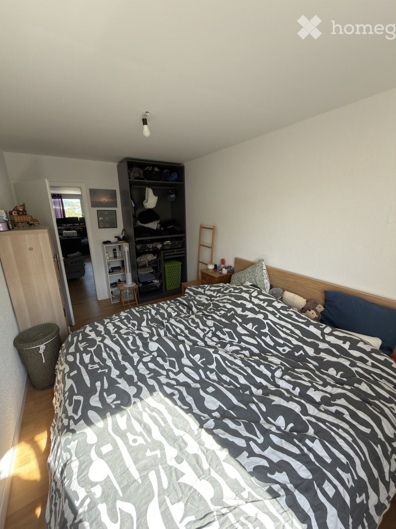 1 room single room