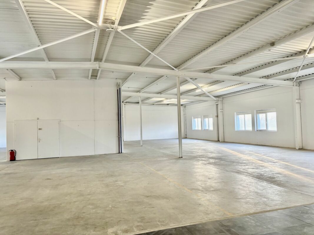 625m² office