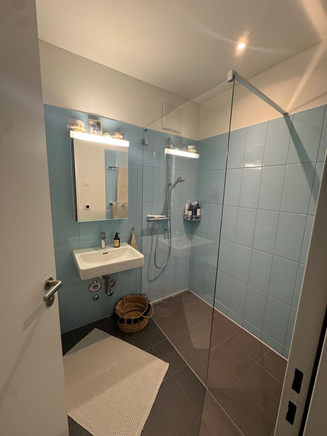 Appartement de 1 ½ pièces