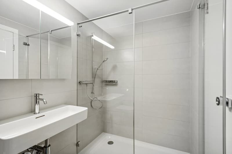 Appartement de 2 ½ pièces, photo 1 sur 3
