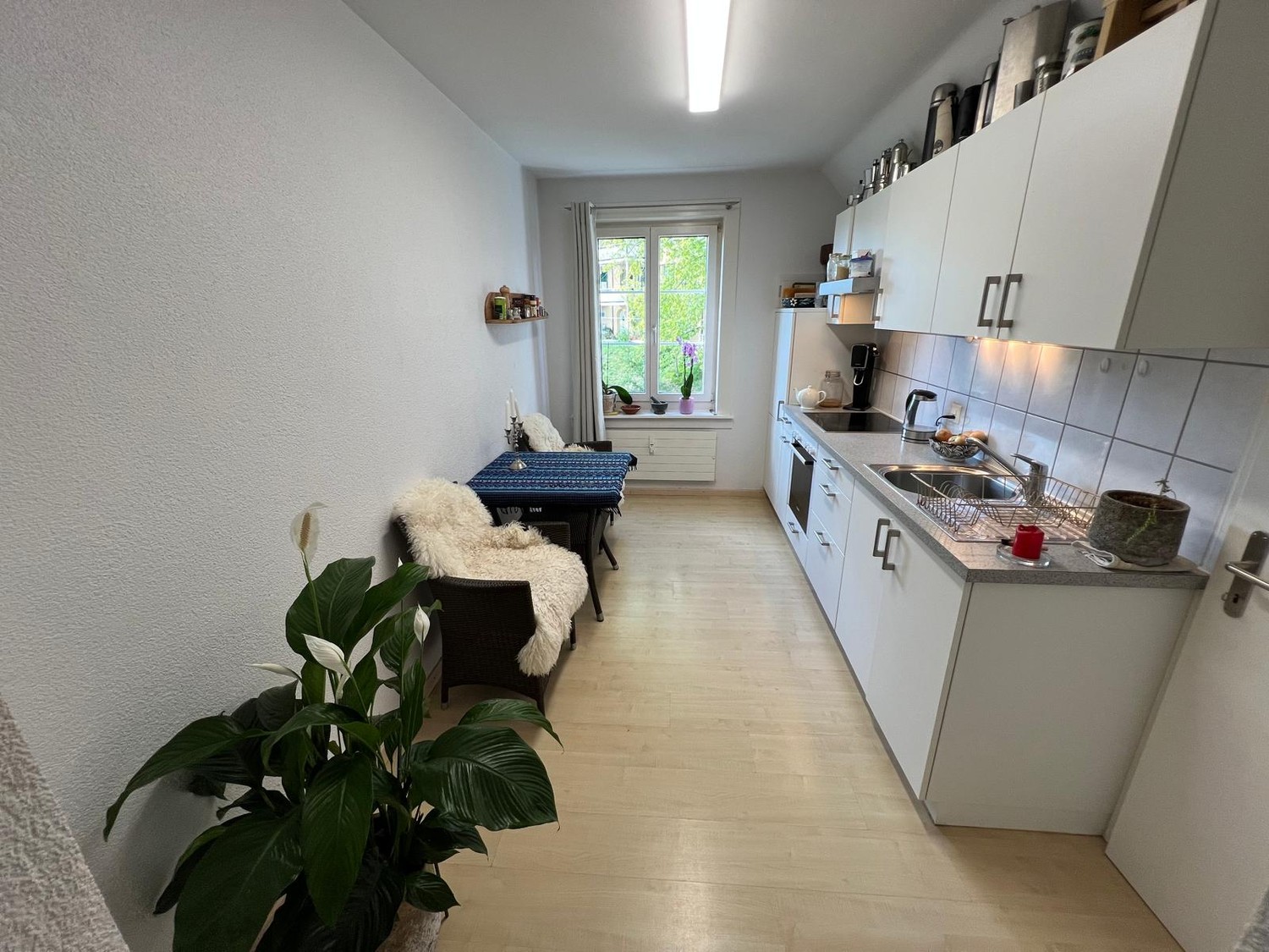 Appartement de 2 ½ pièces, photo 4 sur 7