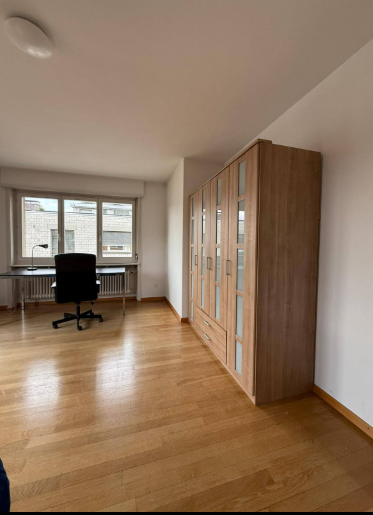 Appartement meublé d'une pièce, photo 2 sur 8