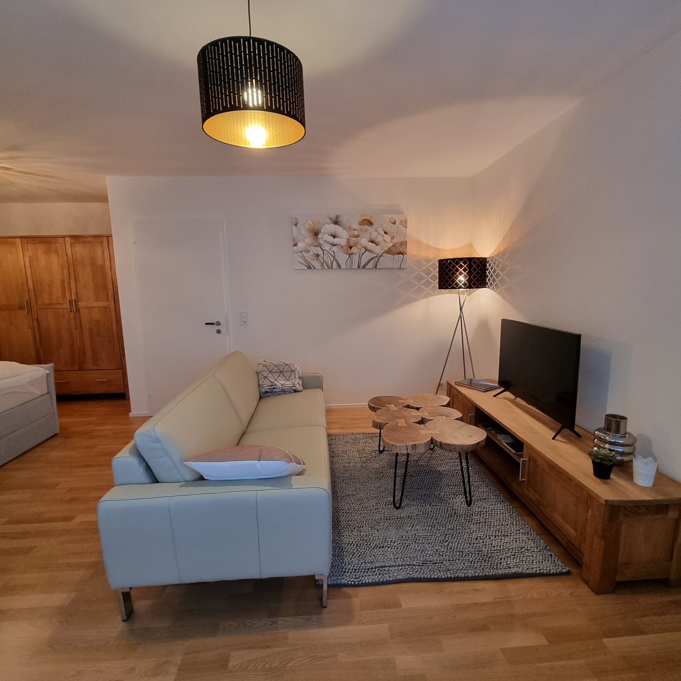Appartement 1 ½ pièces, photo 2 sur 9