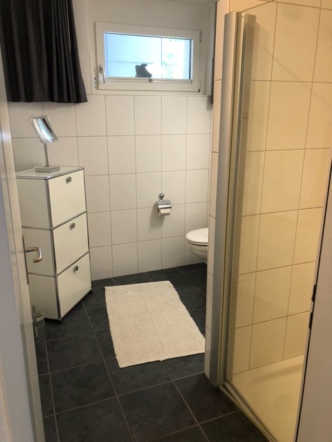 Chambre dans un appartement partagé