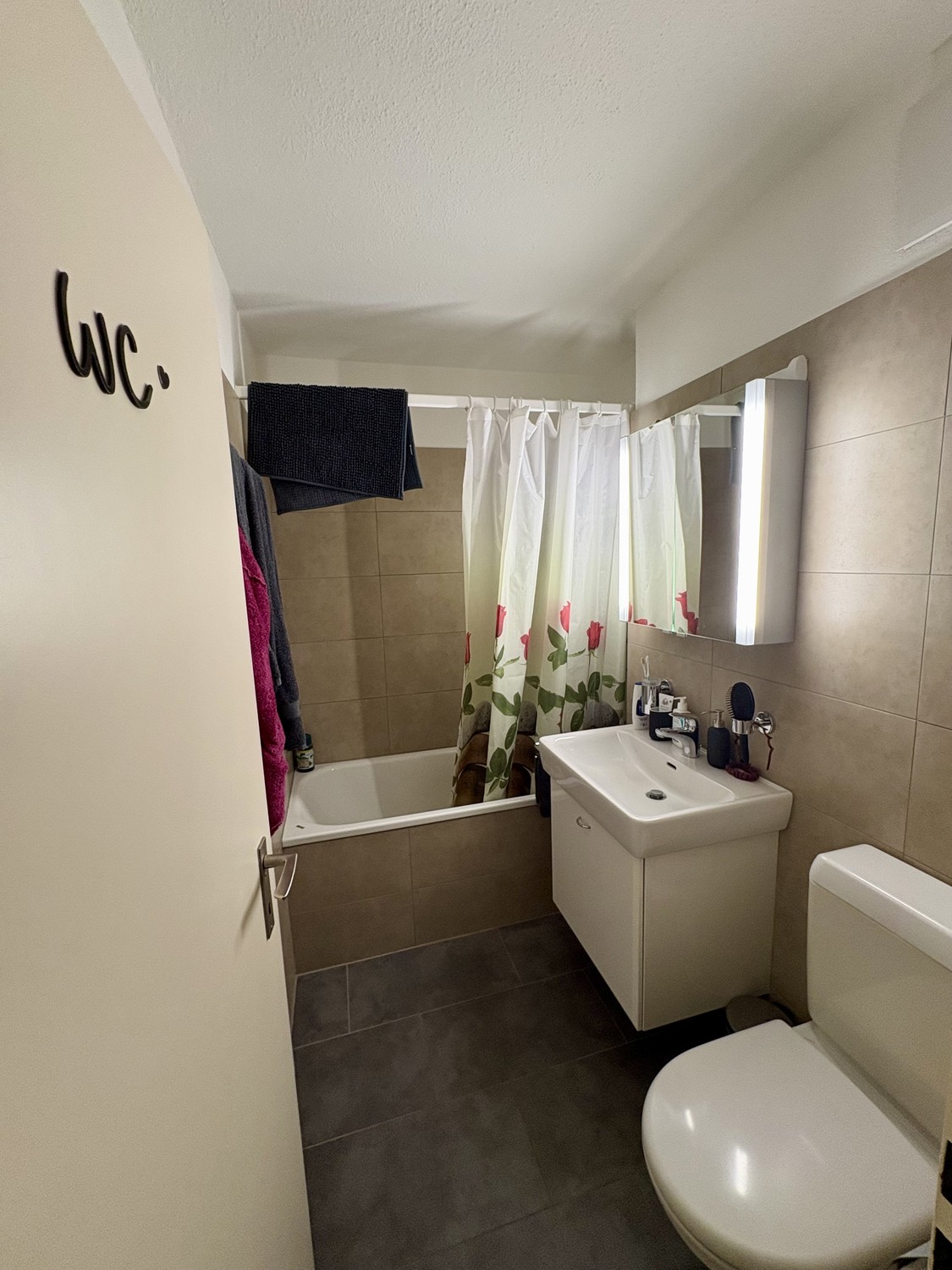 Appartement de 1 ½ pièces