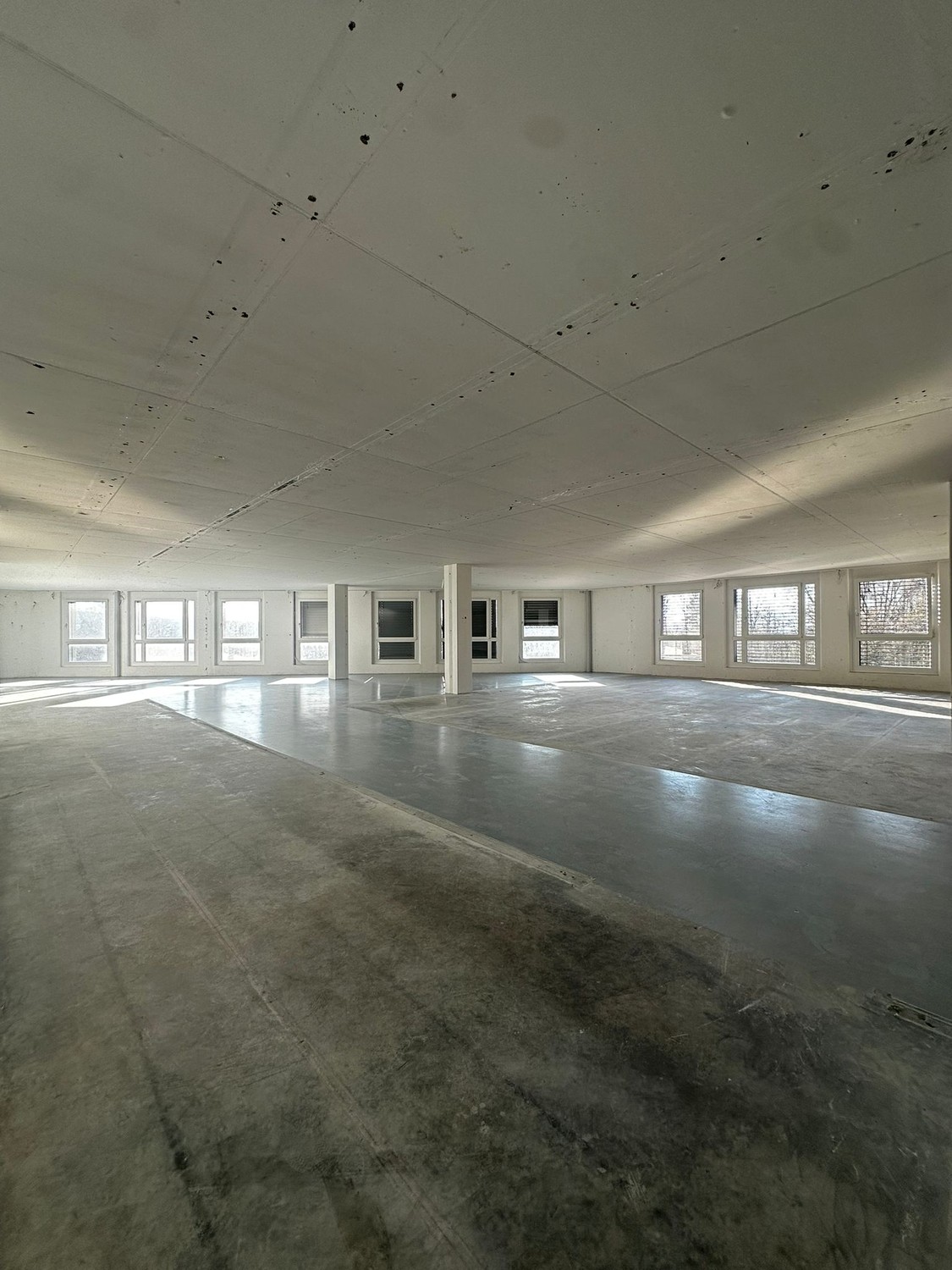 303m² commercial, photo 6 sur 10