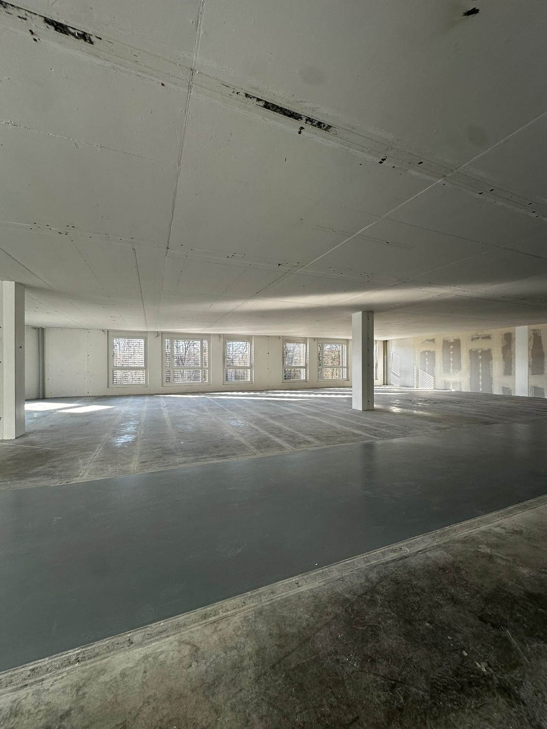 303m² commercial, photo 7 sur 10