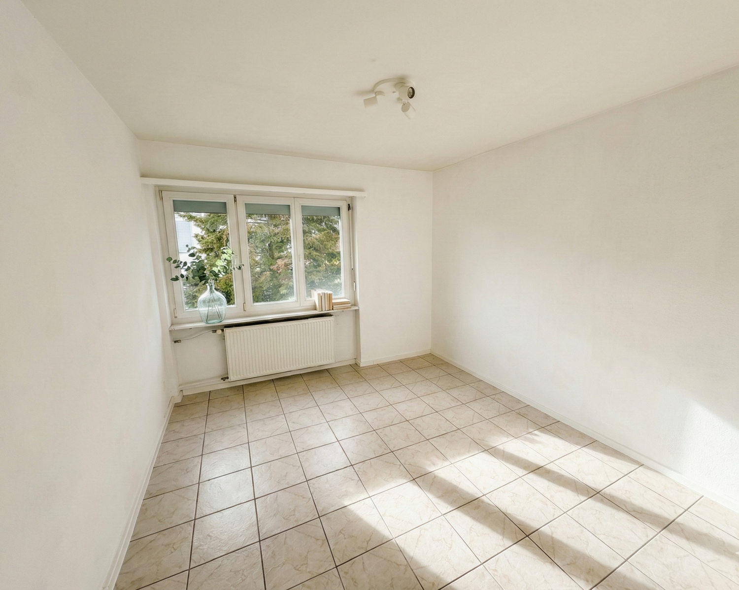 Appartamento di 4 ½ locali