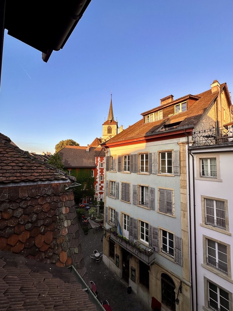 Appartement mansardé de 1 pièce