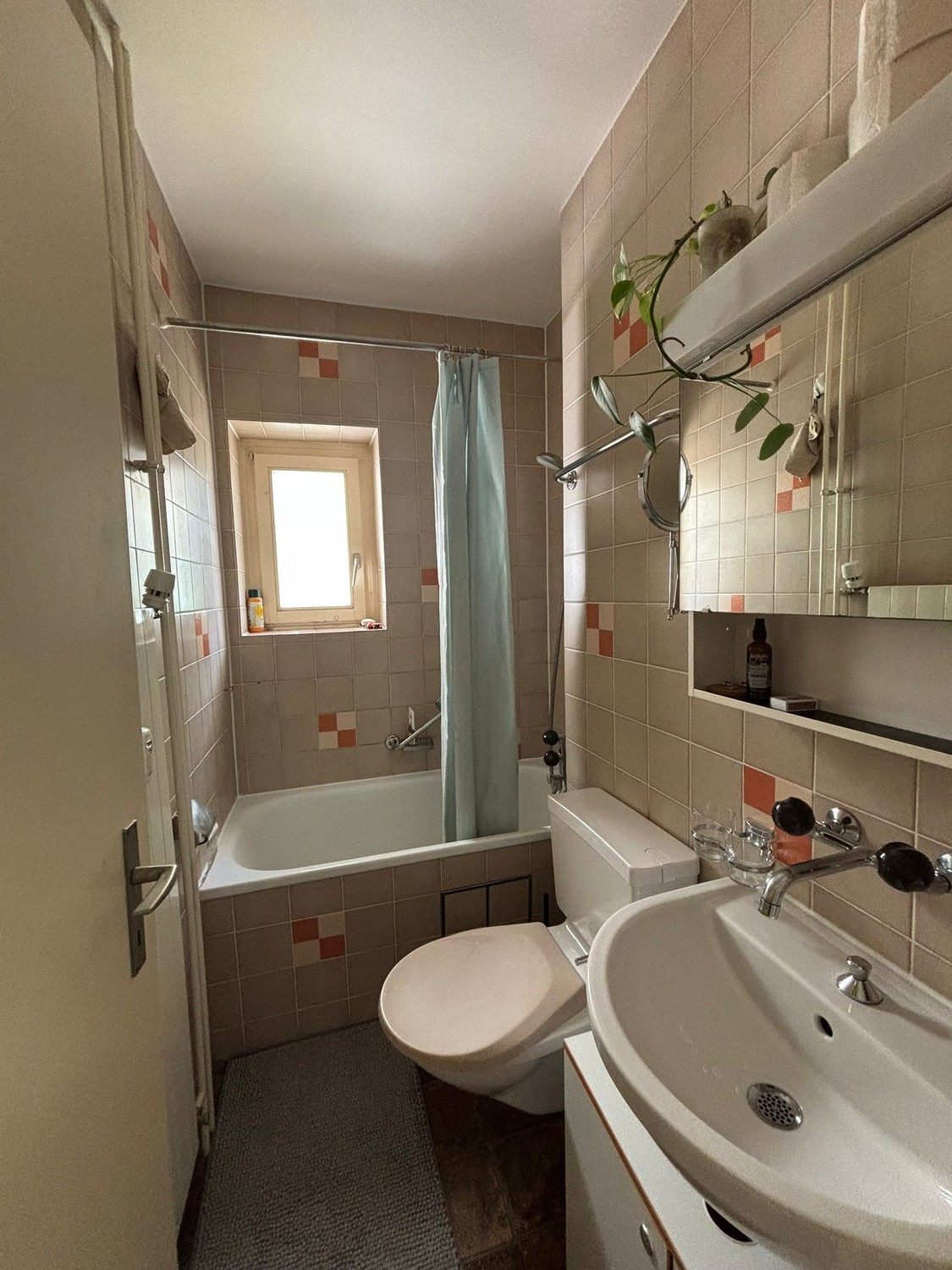 Appartement de 2 ½ pièces, photo 5 sur 5